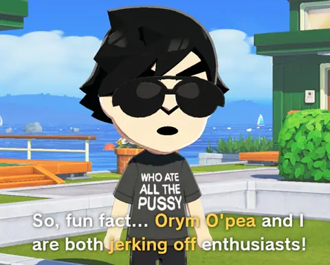 A Mii in sunglasses and a crude slogan T-shirt cheerfully announcing a shared ‘hobby’ in a subtitle.